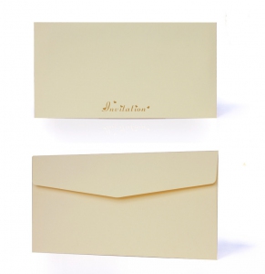 E8001 Imported Envelope *- As Low As RM 